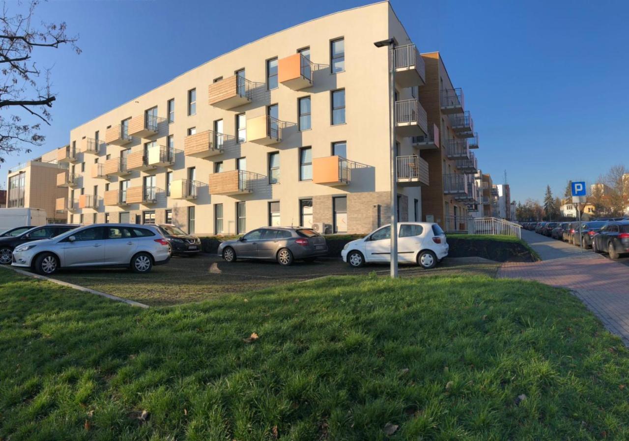Gingerbread Apartment Stary Toruń Esterno foto